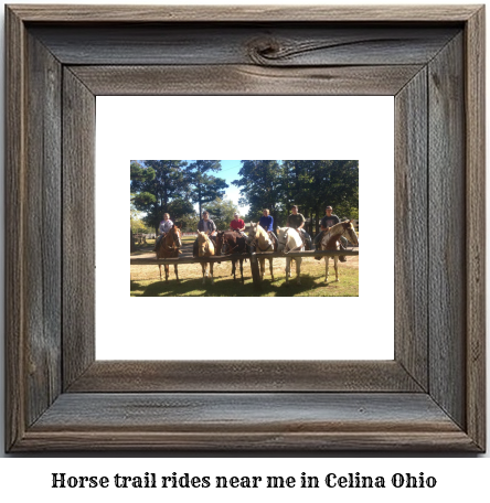 horse trail rides near me in Celina, Ohio